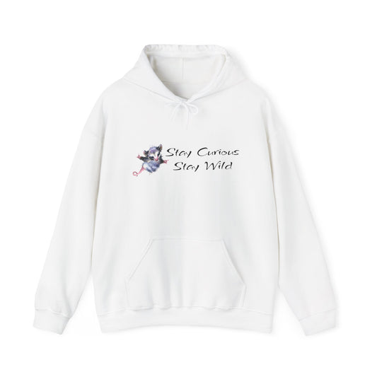 Unisex Heavy Blend™ Hooded Sweatshirt